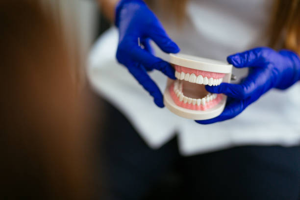 Best Preventive Dentistry  in Almont, MI